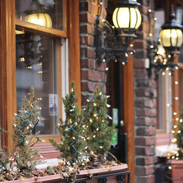 LED string lights for outdoor use